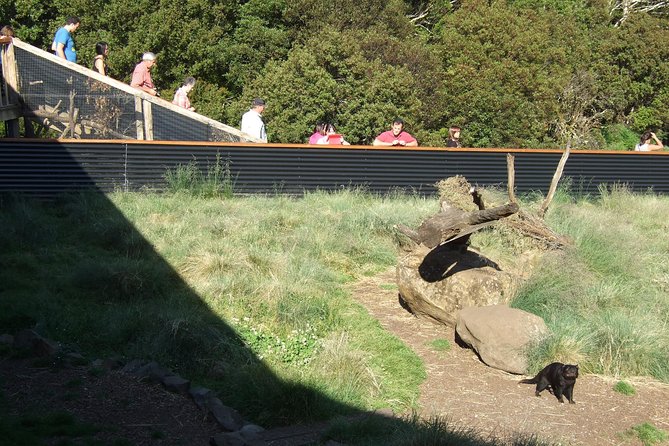 Day Keeper Tour - What you see during the keeper-led walk