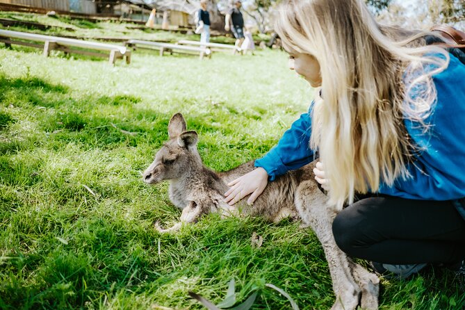 Day Tour in Mt. Field, Mt. Wellington, Bonorong Wildlife Sanctuary and Richmond - Key things to know before booking