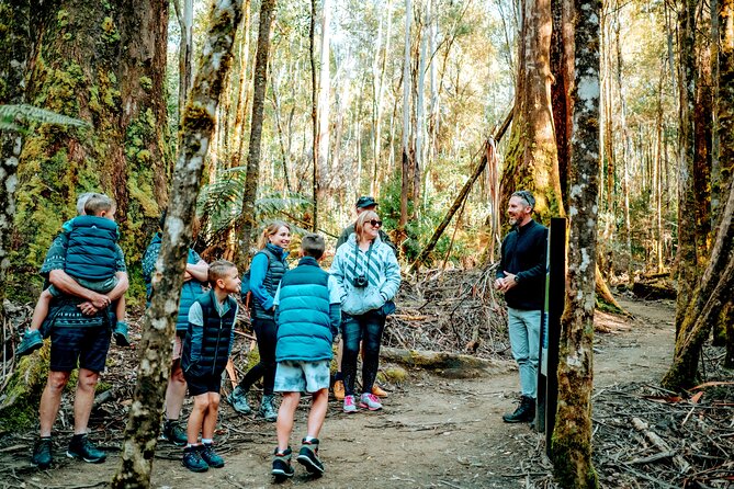 Day Tour in Mt. Field, Mt. Wellington, Bonorong Wildlife Sanctuary and Richmond - One day, four sides of southern Tasmania