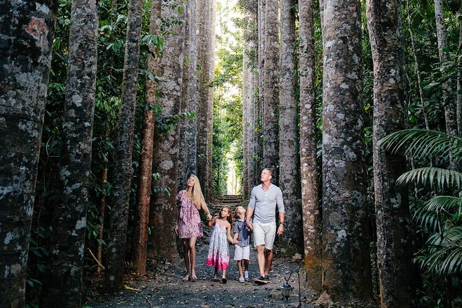 Day Tour to Paronella Park, Lake Barrine and Millaa Millaa Falls - Lake Barrine brings a calm start