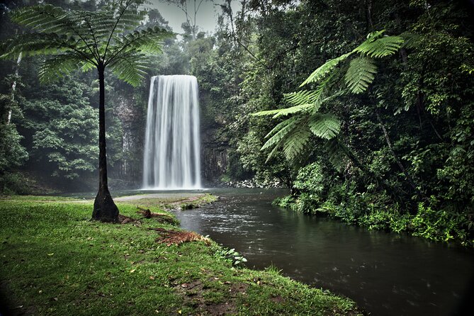 Day Tour to Paronella Park, Lake Barrine and Millaa Millaa Falls - Paronella Park gives the day its story