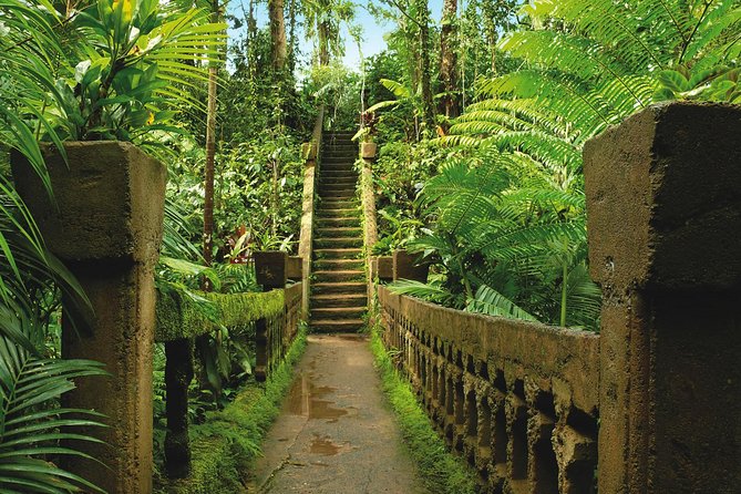 Day Tour to Paronella Park, Lake Barrine and Millaa Millaa Falls - Lunch keeps the long day manageable