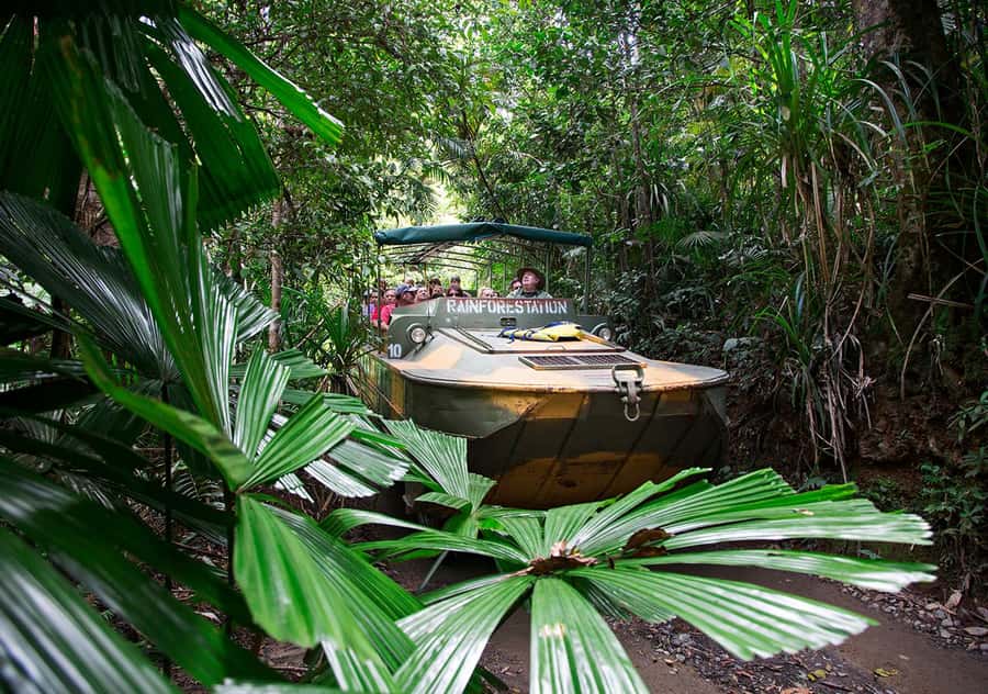 Day Trip: Rainforest & Aboriginal Culture Tour - Should you book the Kuranda rainforest and Aboriginal culture tour?