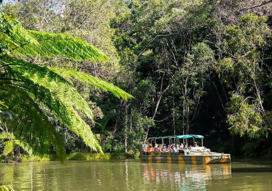 Day Trip: Rainforest & Aboriginal Culture Tour - The Army Duck through Kuranda Rainforest