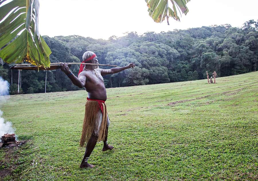 Day Trip: Rainforest & Aboriginal Culture Tour - Lunch and the Tropical Treats stop