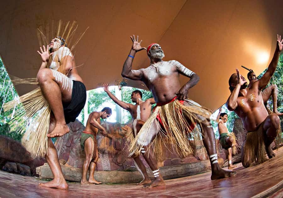 Day Trip: Rainforest & Aboriginal Culture Tour - Practical tips for making the day easier