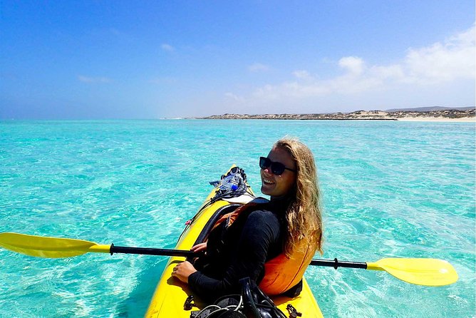 Deluxe Mega Fauna Humpback or Whaleshark Swim Ningaloo Reef - Whale sharks, manta rays, and the best available option