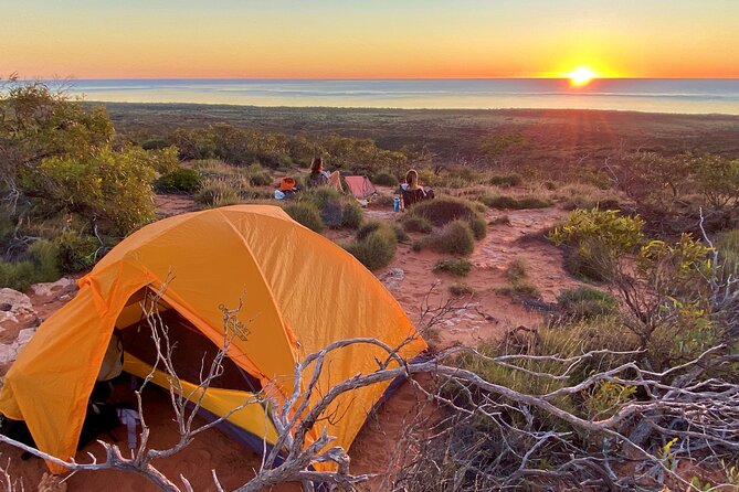Deluxe Mega Fauna Humpback or Whaleshark Swim Ningaloo Reef - Is $430 good value?