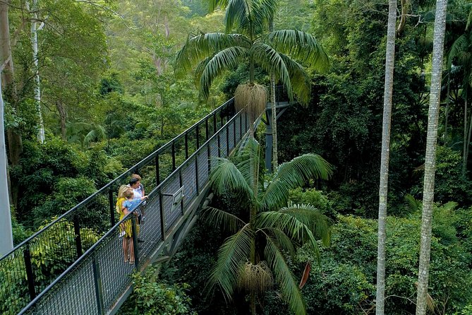 Deluxe Springbrook & Mt Tamborine Glow Worms and famous Skywalk - A full day from Brisbane into the hinterland