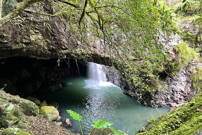 Deluxe Springbrook & Mt Tamborine Glow Worms and famous Skywalk - Hinze Dam and the road through Numinbah Valley
