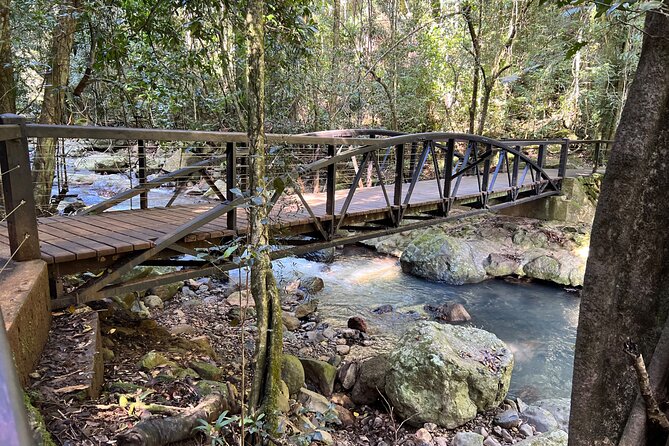Deluxe Springbrook & Mt Tamborine Glow Worms and famous Skywalk - The Tamborine glow worm caves