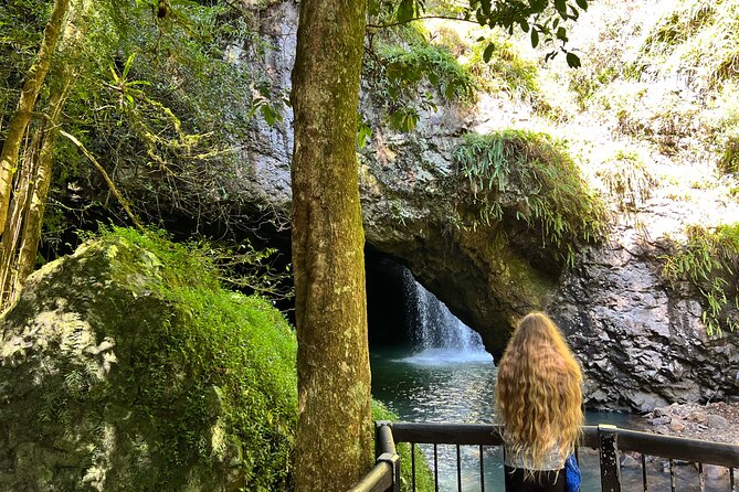 Deluxe Springbrook & Mt Tamborine Glow Worms and famous Skywalk - Springbrook’s Natural Bridge and rainforest walk