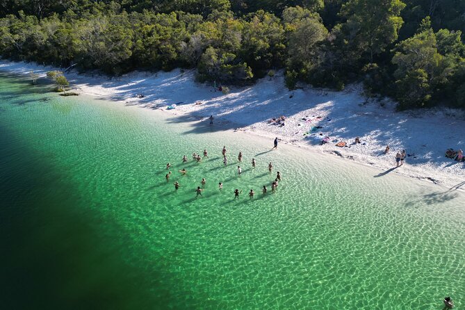 Dingos 2 Day K'Gari (Fraser Island) 4WD Tag-Along Tour - Why the 4WD tag-along format works