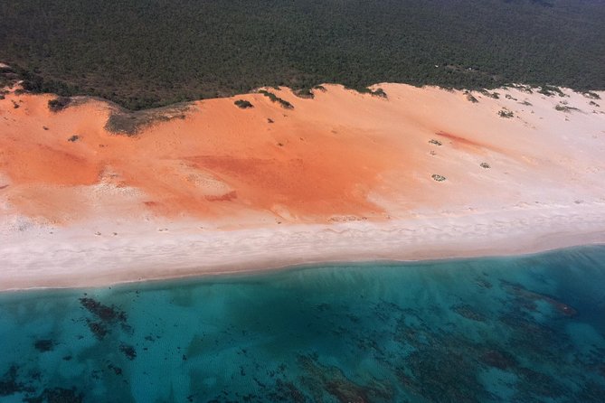 DINOSAUR ADVENTURE CRUISE - With Beachside Tapas and Cocktails - Who will get the most from this Broome tour