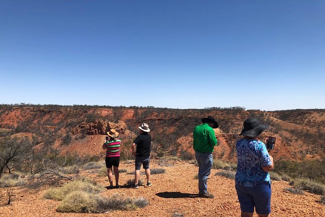 Dinosaur Stampede 3/4 Day Tour from Winton - What happens at Lark Quarry Conservation Park