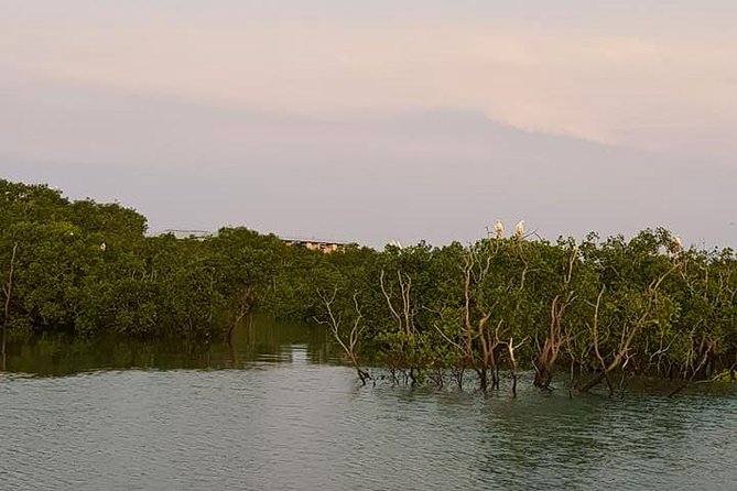 Discover Darwin Harbour 1 hour Darwin Harbour Cruise - Comfort, shade, and what to bring