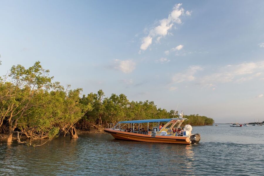 Discover Darwin Harbour: Darwin Harbour Afternoon Cruise - The sandbar stop depends on the tide