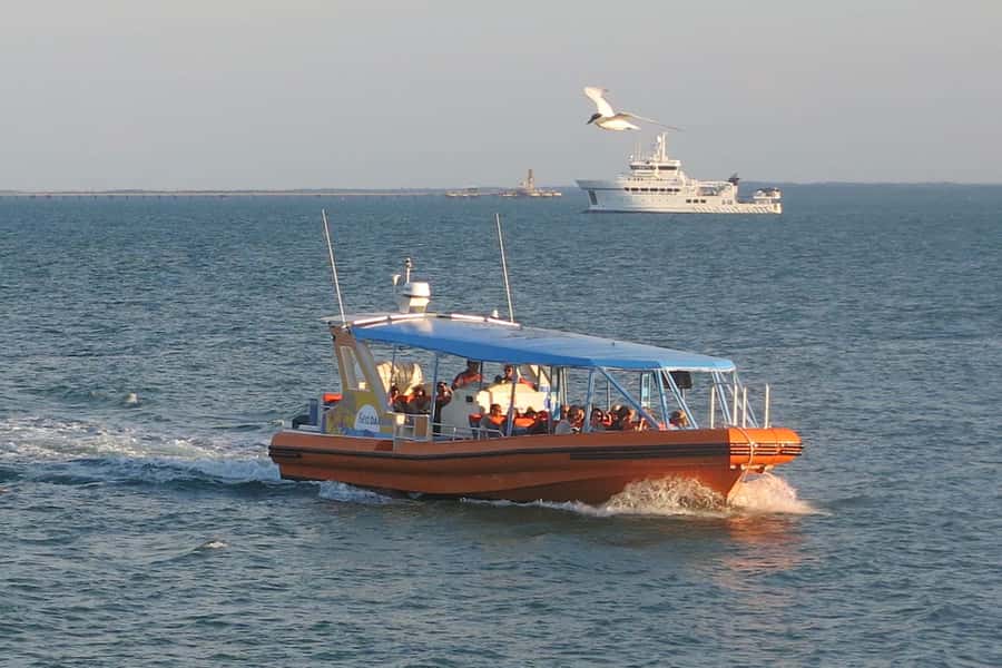 Discover Darwin Harbour: Darwin Harbour Afternoon Cruise - World War II, shipwrecks, and Cyclone Tracy