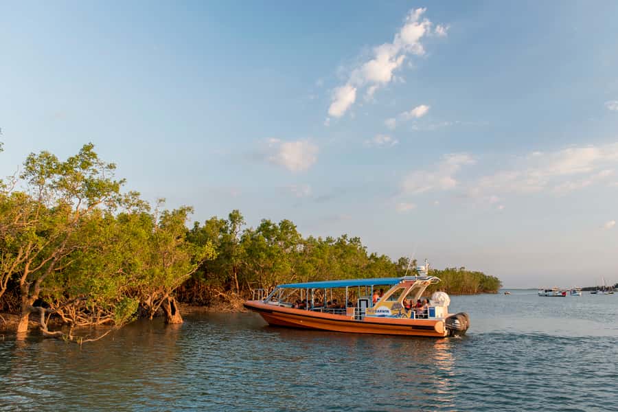 Discover Darwin Harbour: Darwin Harbour Afternoon Cruise - Setting out through Darwin Harbour