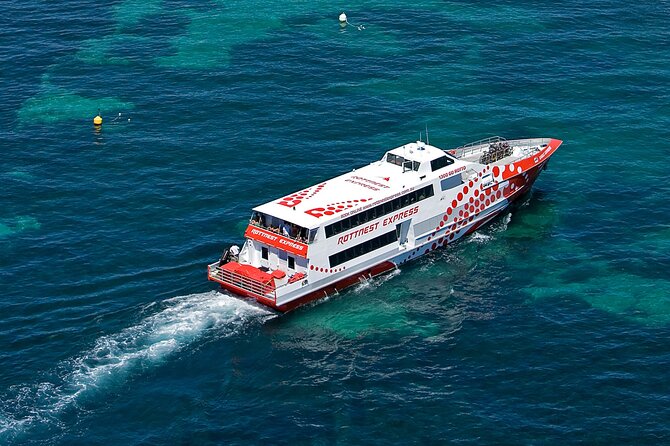 Discover Rottnest with Ferry & Bus Tour - Finding quokkas without wasting your afternoon