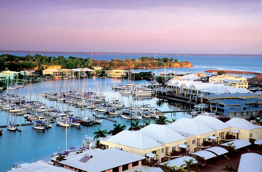 Discover the City of Darwin: Half-Day City Coach Tour - Darwin Botanic Gardens: a short stop with a strong story