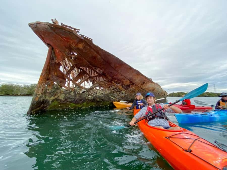 Dolphin Sanctuary and Ships Graveyard Kayak Tour - Why the Port River feels far from Adelaide