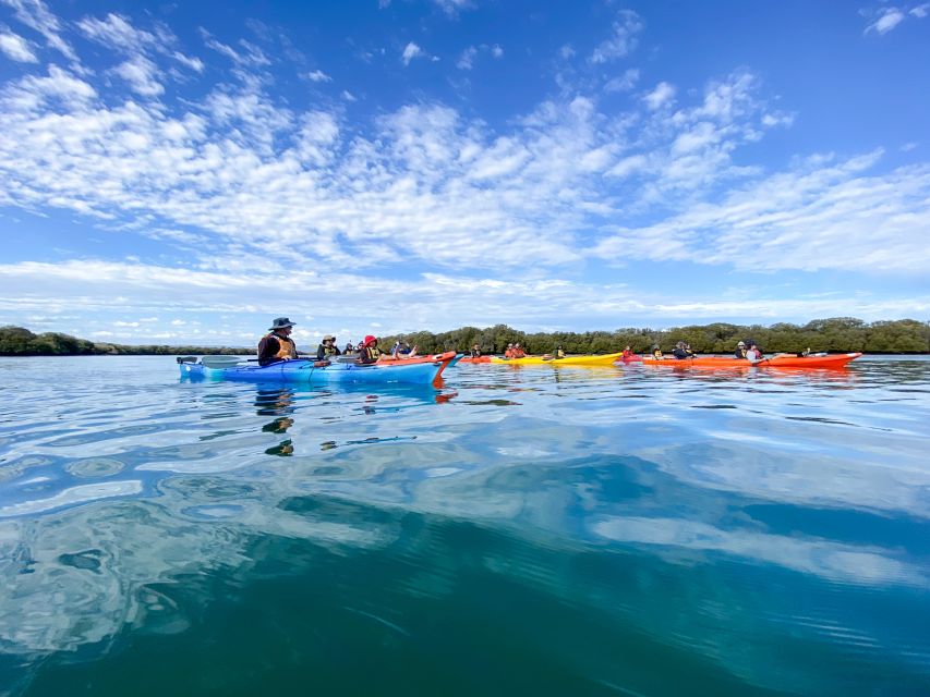 Dolphin Sanctuary and Ships Graveyard Kayak Tour - Three hours on the water, at an easy pace