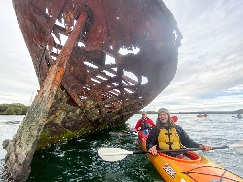 Dolphin Sanctuary and Ships Graveyard Kayak Tour - Who will enjoy this tour most