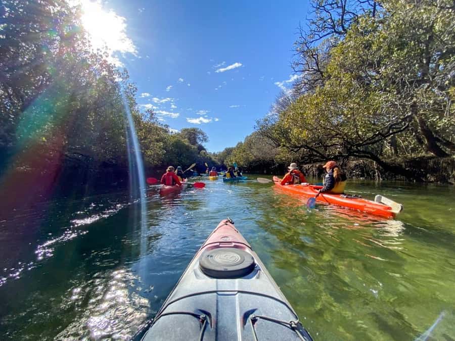 Dolphin Sanctuary and Ships Graveyard Kayak Tour - The real cost, including getting to Garden Island