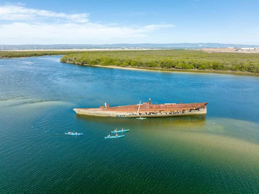 Dolphin Sanctuary and Ships Graveyard Kayak Tour - The first paddle through the mangroves