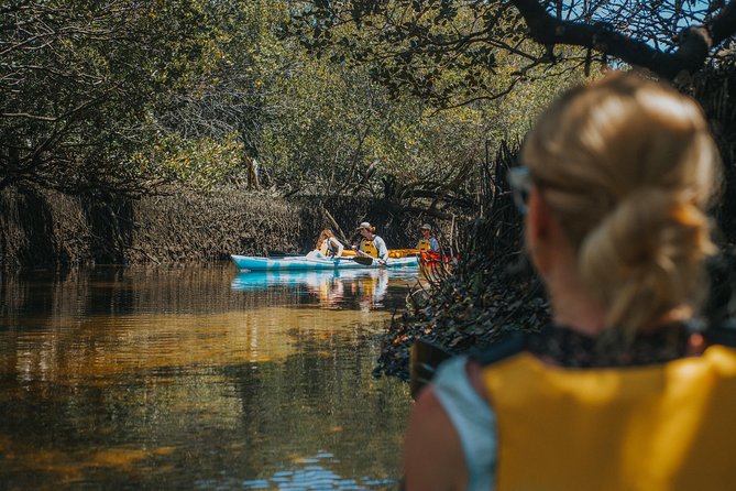 Dolphin Sanctuary Kayak Tour Adelaide - Guides make the difference
