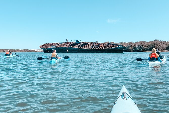 Dolphin Sanctuary Kayak Tour Adelaide - Is the price good value?