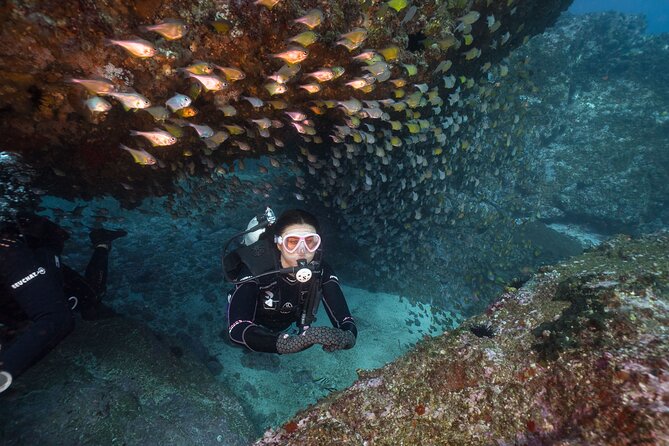 Double Dive to South Solitary Island Coffs Harbour - What makes this South Solitary trip worth considering