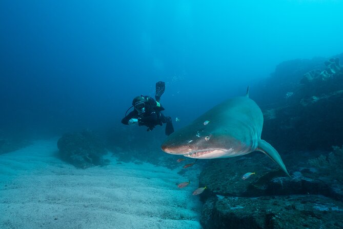 Double Dive to South Solitary Island Coffs Harbour - Choosing the site for your first underwater session