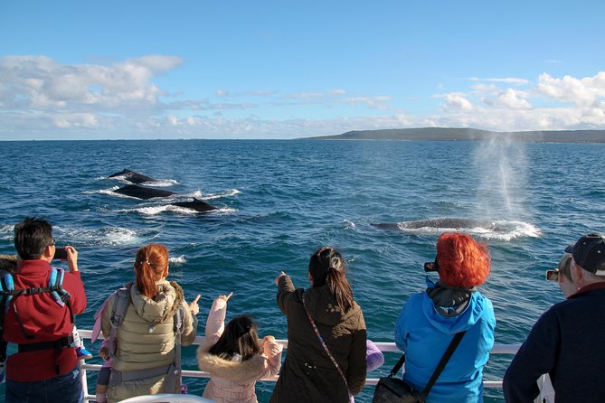 Dunsborough Whale Watching Eco Tour - Key points at a glance