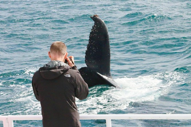 Dunsborough Whale Watching Eco Tour - Comfort, refreshments, and seasickness