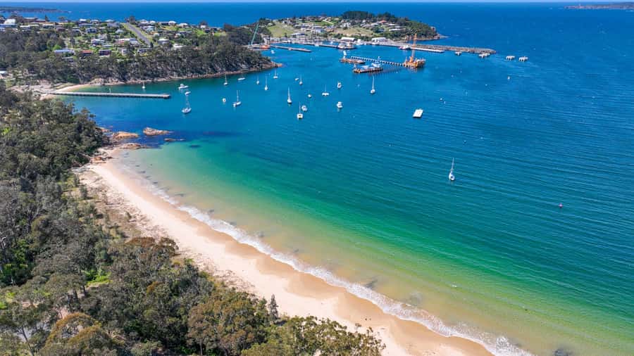 Eden: 2-Hour Highlights Tour, Nature, Beaches and Lookouts - Key points to know before booking