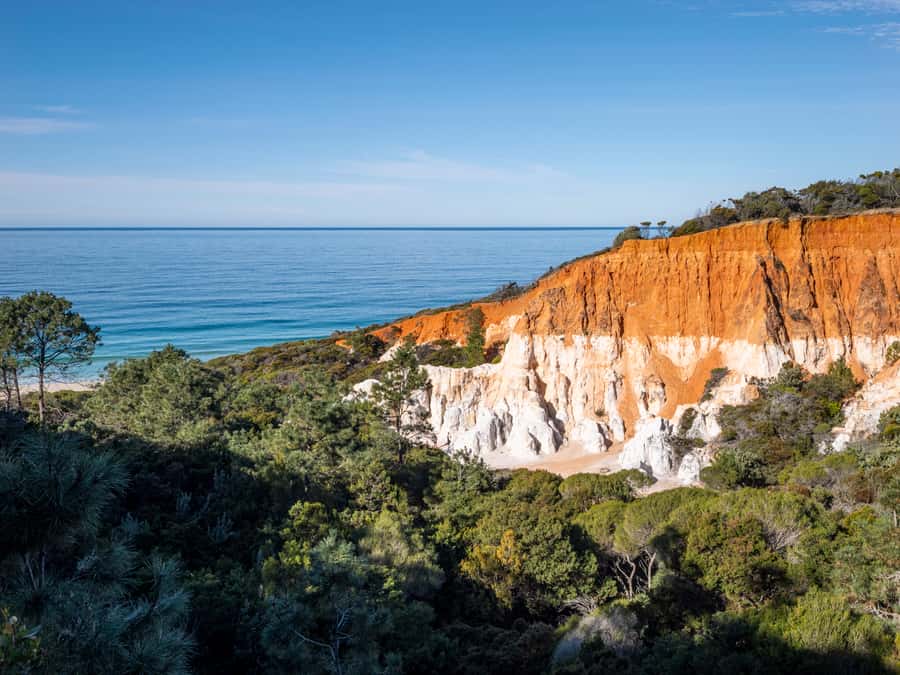 Eden: 2-Hour Highlights Tour, Nature, Beaches and Lookouts - A quick coastal introduction to Eden