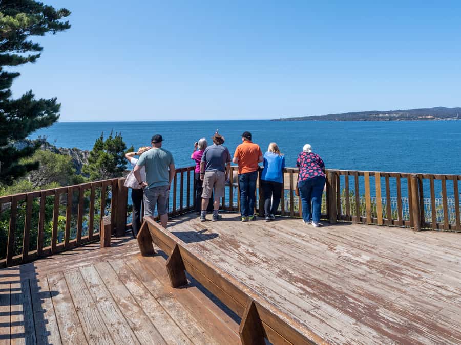 Eden: 2-Hour Highlights Tour, Nature, Beaches and Lookouts - Rotary Park and the waters of Twofold Bay