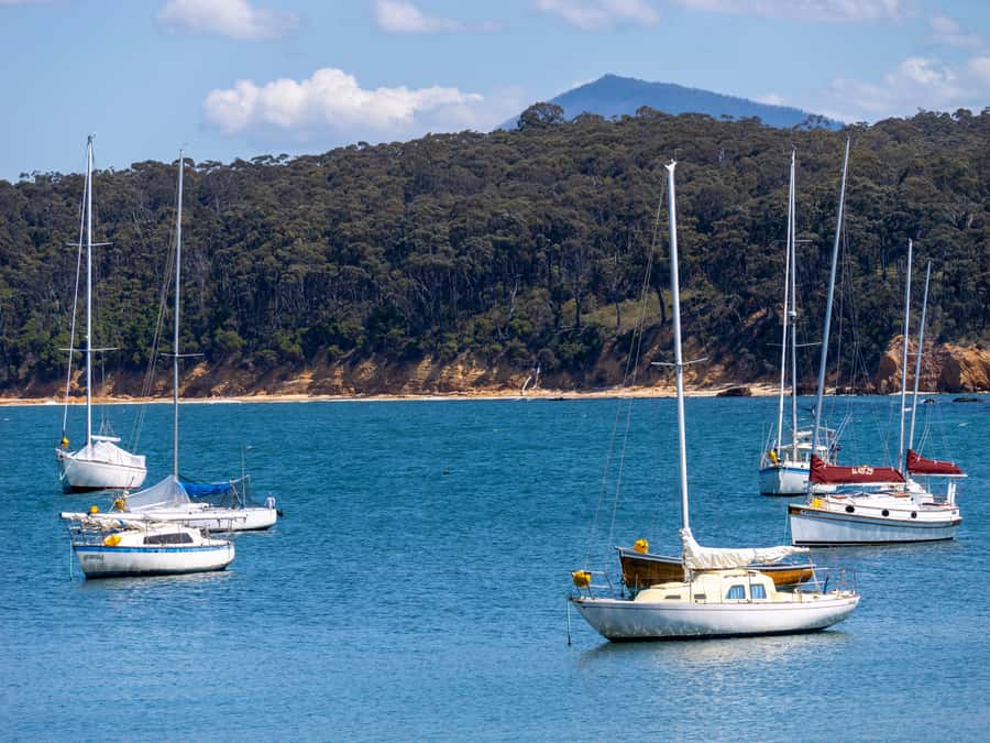 Eden: 2-Hour Highlights Tour, Nature, Beaches and Lookouts - Aslings Beach: sand, surf, and a short coastal pause