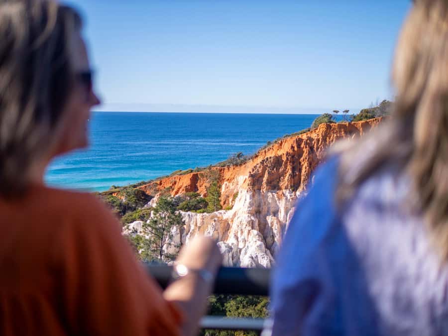 Eden: 2-Hour Highlights Tour, Nature, Beaches and Lookouts - Pinnacles Lookout and the best wide-angle view