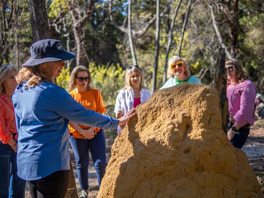Eden: 2-Hour Highlights Tour, Nature, Beaches and Lookouts - What $106 buys you