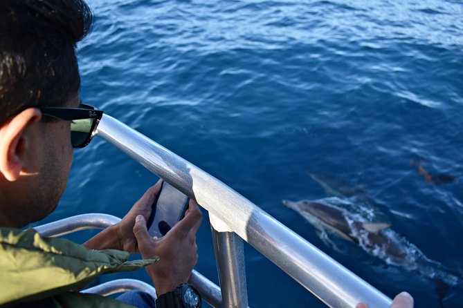 Educational Whale Watching Tour from Perth - Photographs, commentary, and the value of looking up