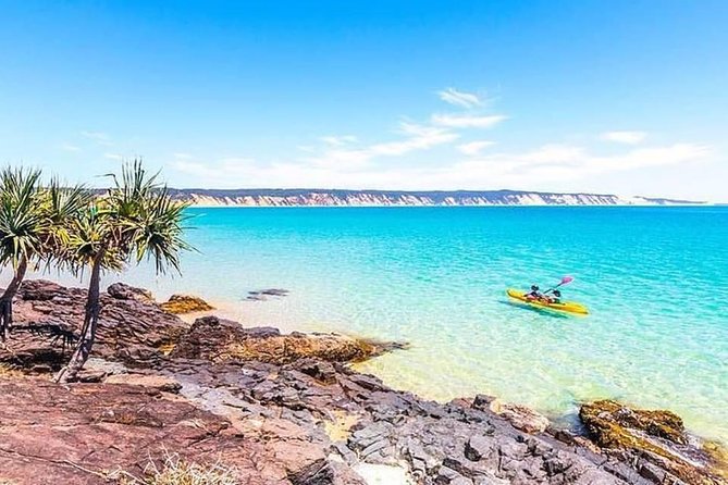 Epic Kayak With Dolphins & Wildlife - 4WD Beach Adventure Noosa - Is $115.48 good value?