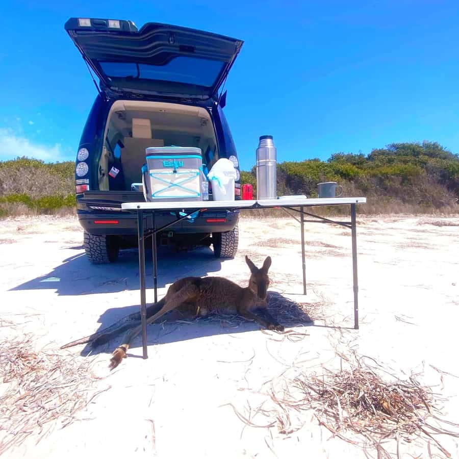 Esperance: Cape Le Grand National Park 4x4 Beach Adventure - The Wylie Rock climb and panoramic views