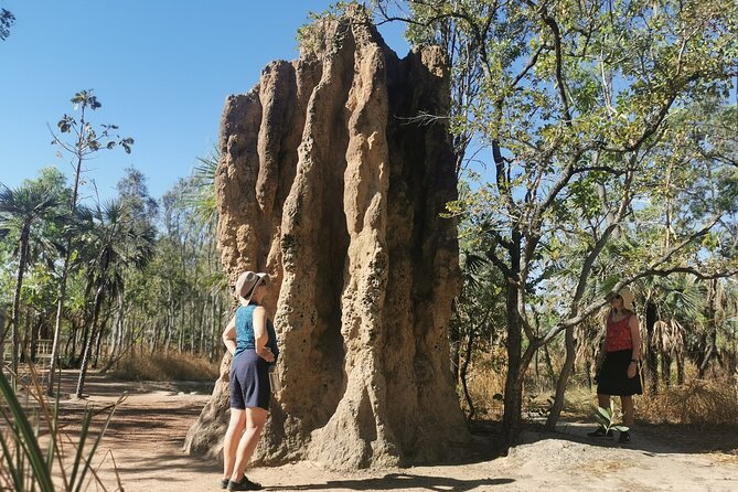 ETHICAL ADVENTURES - 1 Day premium Litchfield tour, small group - Homemade food makes the $204.41 price easier to judge