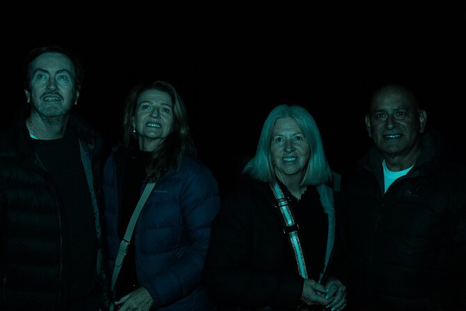 Evening Rainforest & Glow Worm Tour from Gold Coast - Curtis Falls and the glow worms