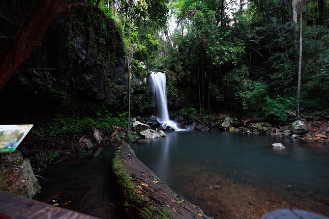 Evening Rainforest & Glow Worm Tour from Gold Coast - Stargazing when the sky cooperates