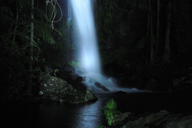 Evening Rainforest & Glow Worm Tour from Gold Coast - Cake first at the mountain café