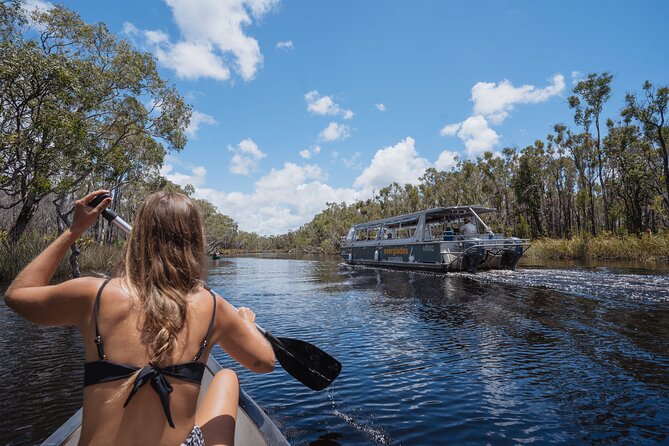 Everglades Explorer - Noosa Everglades Tour - Fig Tree Point gives you two ways to continue